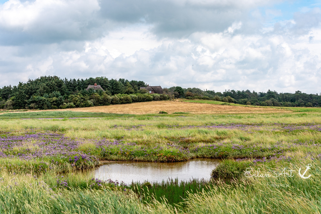 20240714-EAF_0172 | Eilun-Art-Fotografie Levke Martens, ihre Fotografin für Immobilien- und Landschaftsfotografie auf Föhr, Föhrer Motive als Poster, Leinwand, hinter Acrylglas oder stelle dir deinen eigenen Monatskalender zusammen, mit nur einem Klick