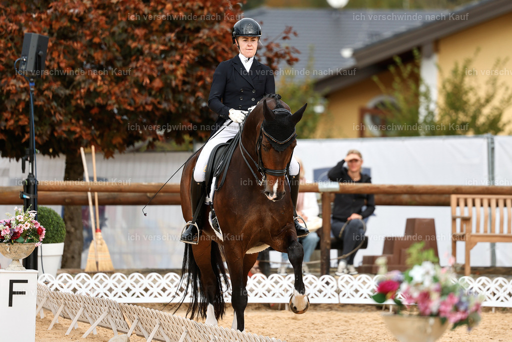 11-091-Dressur S___-StoibPH-1277 | working equitationturnier fotograf videograf stoibphotography marixx film working equitation deutschland reitsport turnierfotografie eventfotografie equestrian events