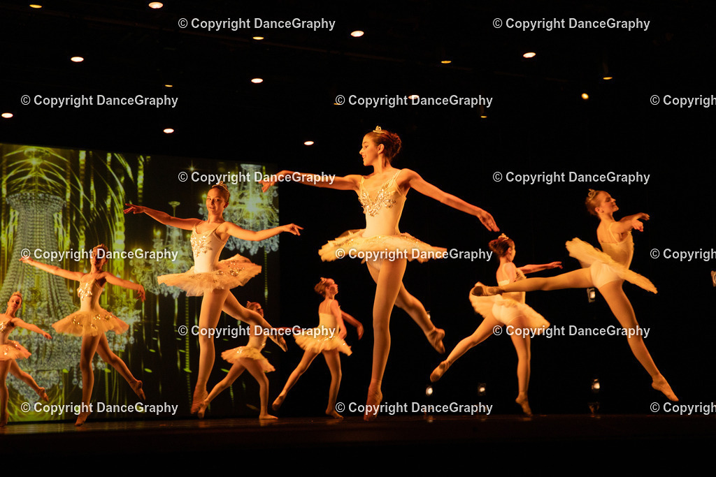 GPHY4508 | DanceGraphy - Realisiert mit Pictrs.com