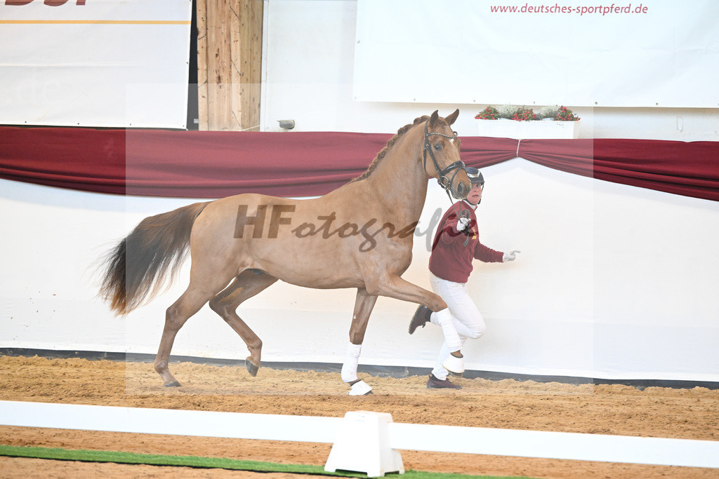 Kat-Nr. 52 v. Vaderland_Galneder_66220716 | hf-fotografie - Realisiert mit Pictrs.com