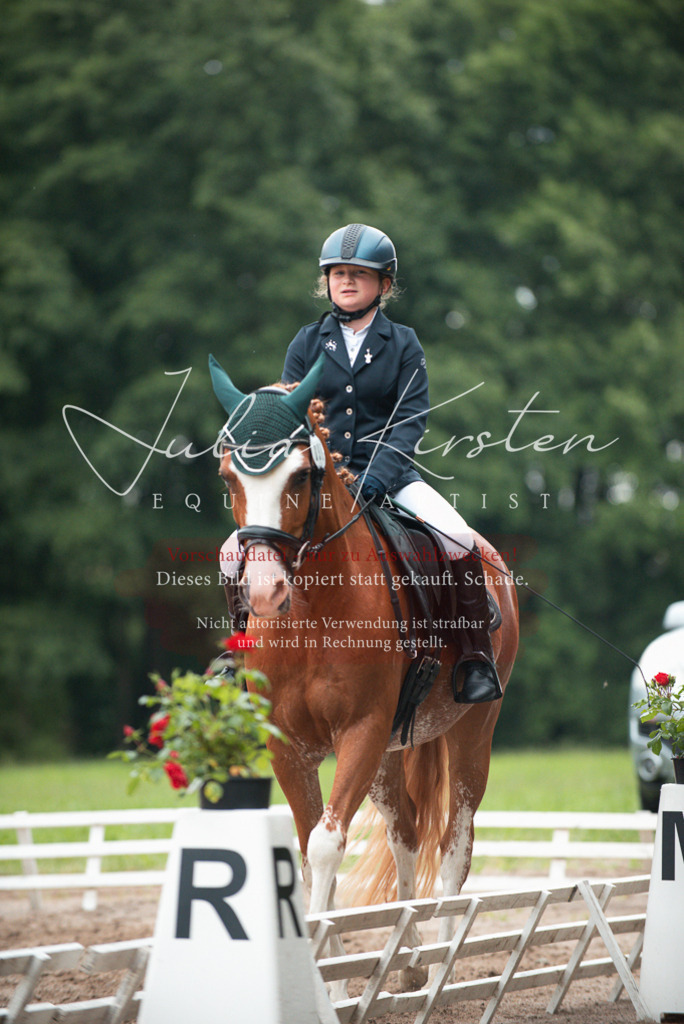 DSC_9647 | Pferde- und Turnierfotografie in Westsachsen. Pferdeportraits, Auftragszeichnungen und intuitive Kunst.