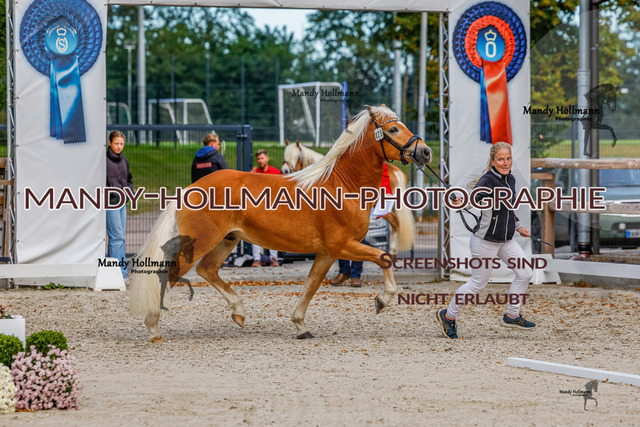 GK (559 von 759) | mandyhollmannphotographie