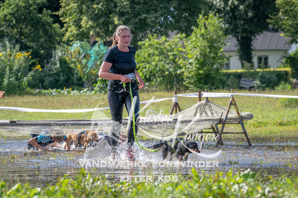 1135_ZZ90316 | kk-dogfotos