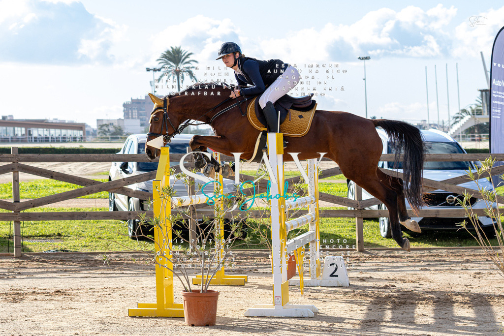 IMG_1584 | s-jay-photography - Realisiert mit Pictrs.com