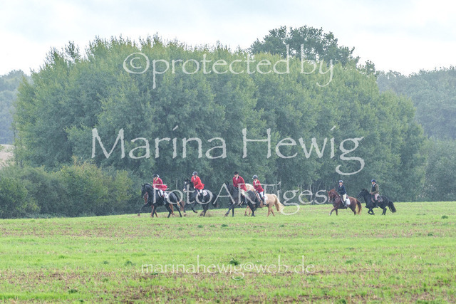 Jagd Perdoel 26 Sony-03424_MarinaHewig | Fotografie, FotoArt, PferdesportArt, Pferdesportfotografie, Landschaftsfotografie, Reisefotografie, Reise, Pferde - Realisiert mit Pictrs.com