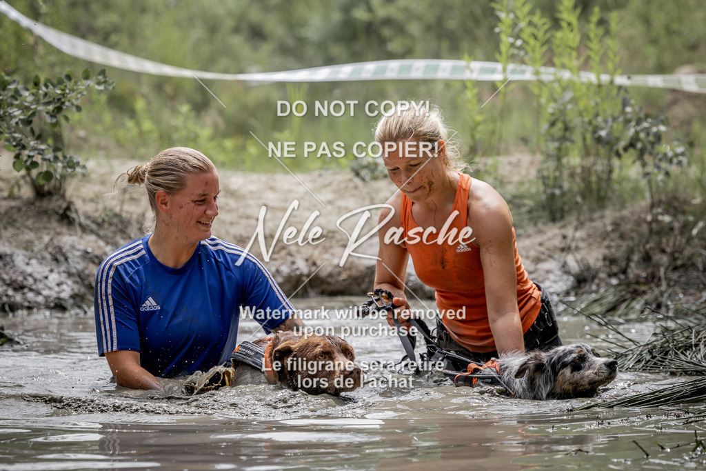 nelerasche_so1330-1400_06 | nelerasche