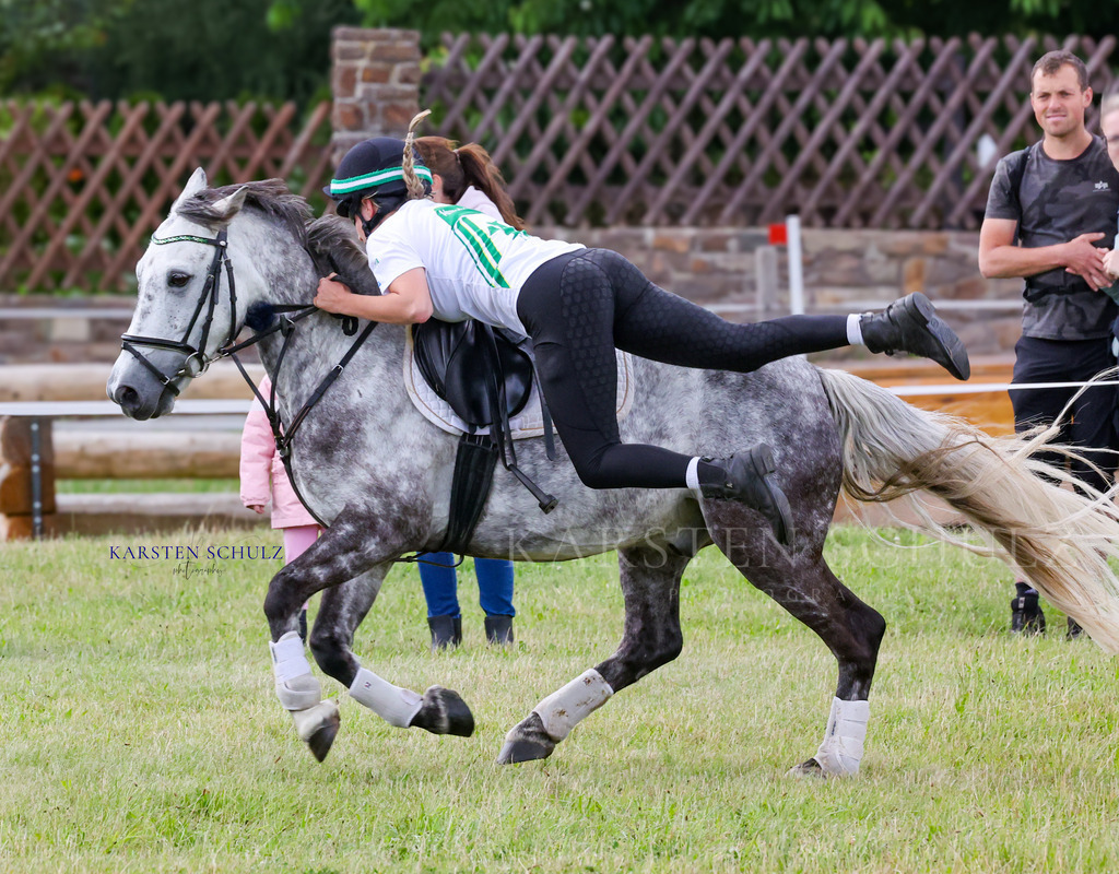 1B3A4507 | Reitsport Reiten