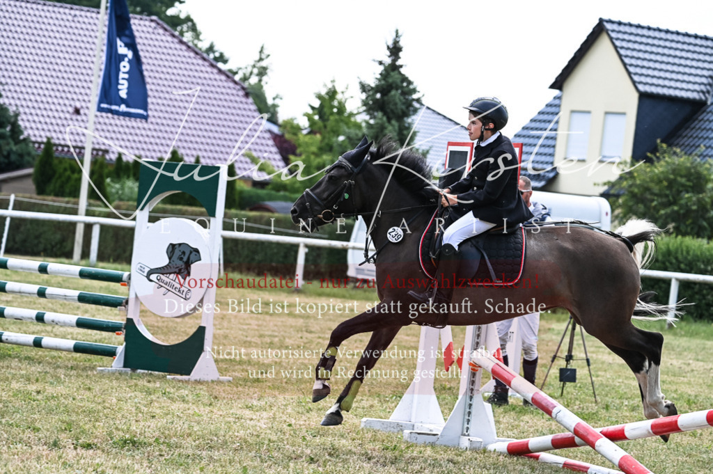 DSC_9764 | Pferde- und Turnierfotografie in Westsachsen. Pferdeportraits, Auftragszeichnungen und intuitive Kunst.