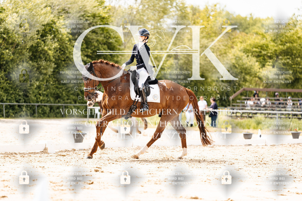 CK902109 | Turnierfotografie Pferdefotografie Trier Rheinland-Pfalz Pferdesport Reitsport Tierfotografie Sportfotografie Pferdevideo Pferdevideografie Equestrianvideography equestrianphotography  - Realisiert mit Pictrs.com