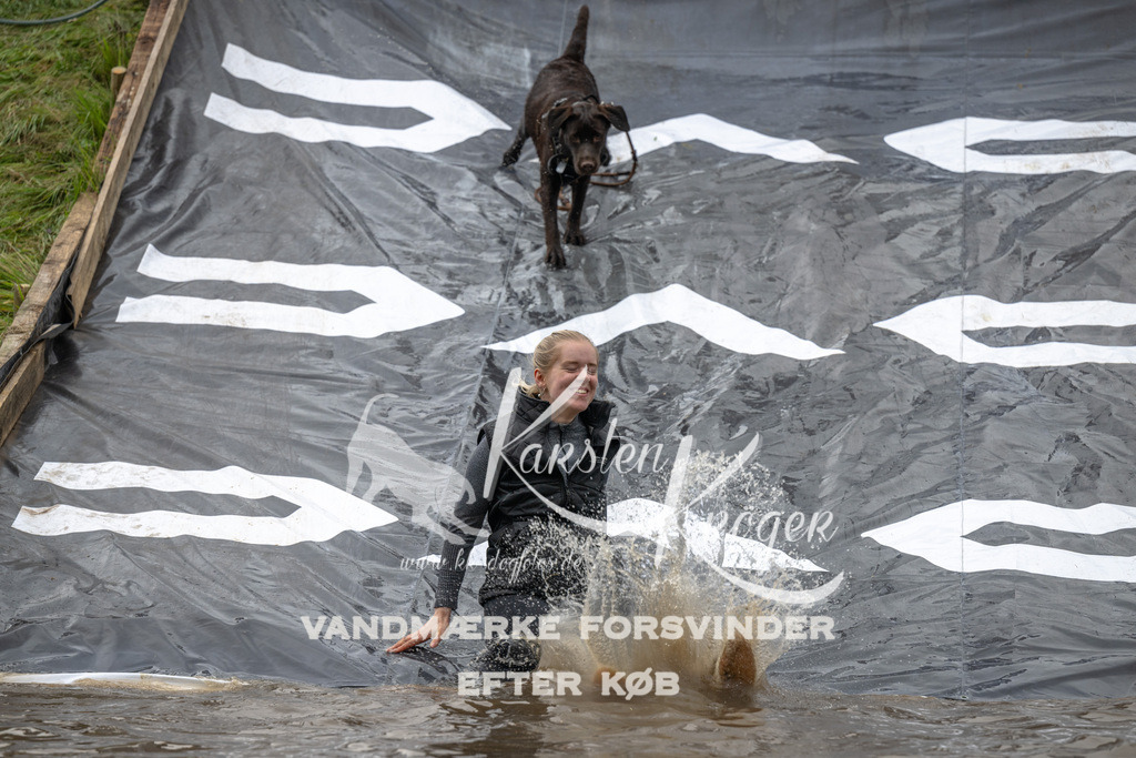 1559_ZZ91836 | kk-dogfotos