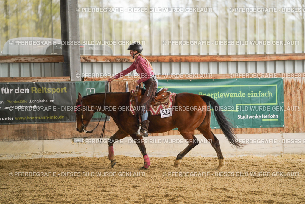 DSC08571 | Pferdegrafie