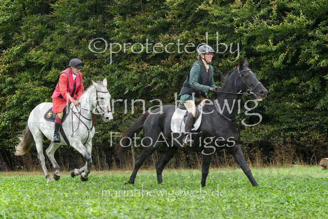 Jagd Perdoel_MarinaHewigMCH04004 | Fotografie, FotoArt, PferdesportArt, Pferdesportfotografie, Landschaftsfotografie, Reisefotografie, Reise, Pferde - Realisiert mit Pictrs.com