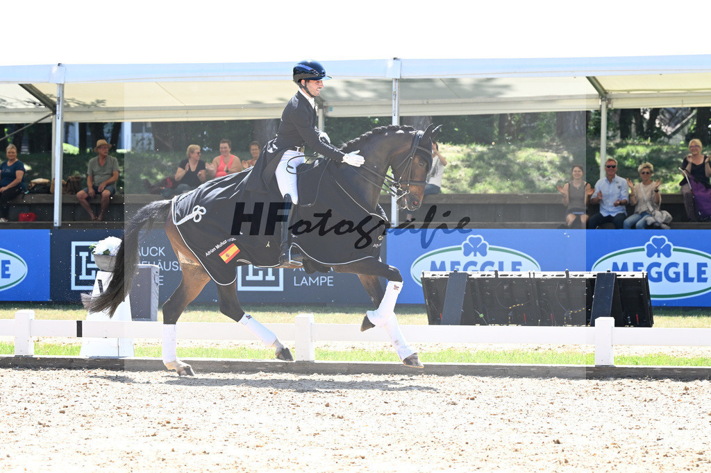 Goldenes Reitabzeichen_Adrian Munoz Jurado_11254517 | hf-fotografie - Realisiert mit Pictrs.com