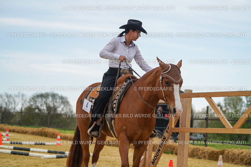 DSC02532 | Pferdegrafie