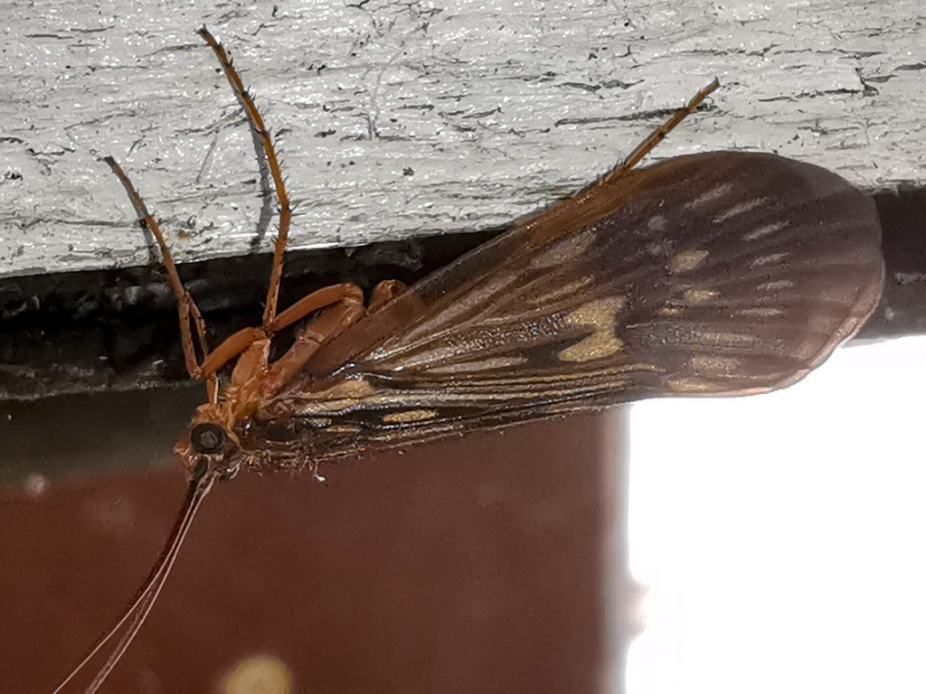 PSX_20230819_234810 | mtkfoto_ - Realisiert mit Pictrs.com