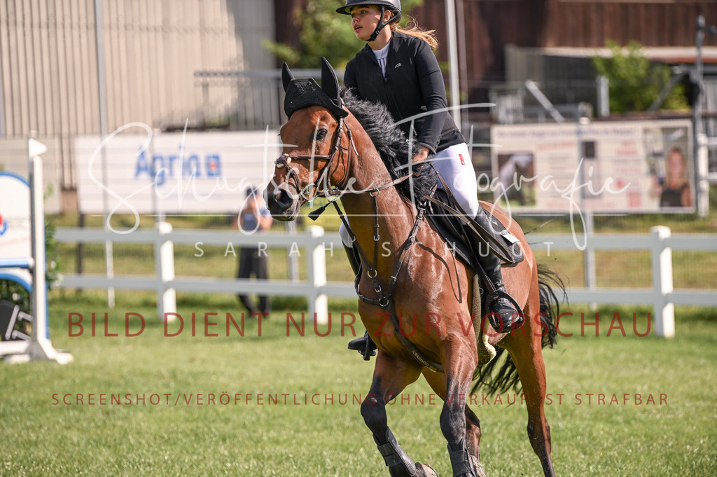 Schugtsche-Düren.2024-07.Amat.Springprf.A__-171 | Schugtsche Fotografie - Realisiert mit Pictrs.com