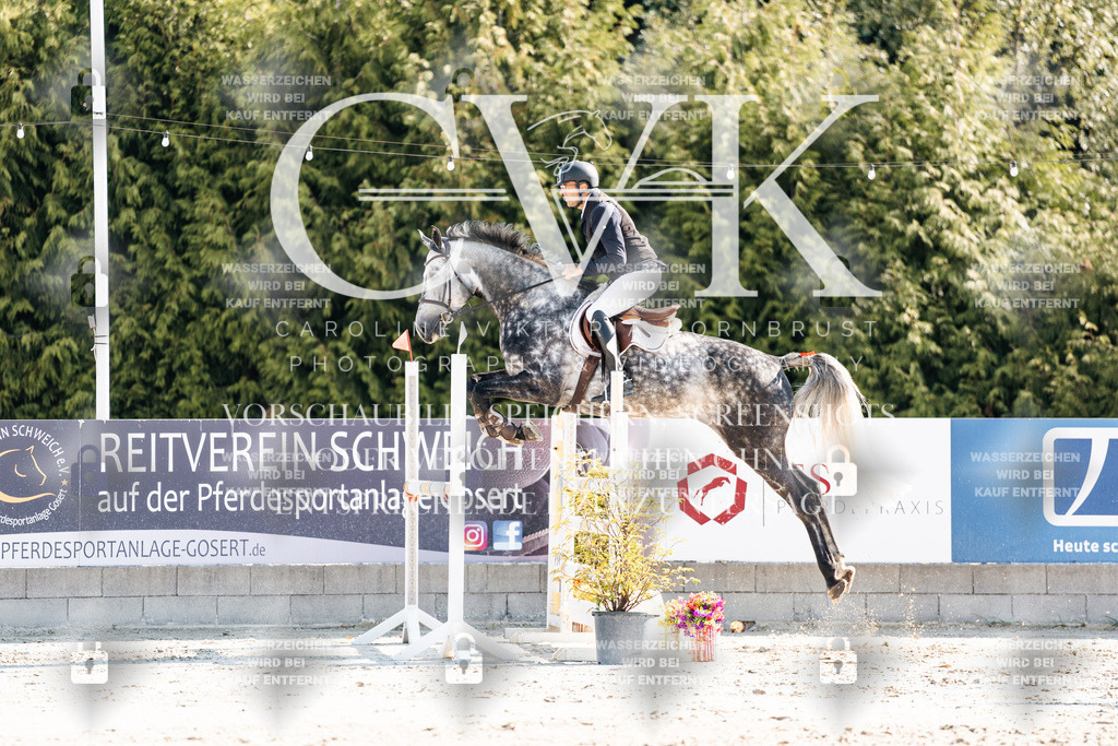 CK902094 | Turnierfotografie Pferdefotografie Trier Rheinland-Pfalz Pferdesport Reitsport Tierfotografie Sportfotografie Pferdevideo Pferdevideografie Equestrianvideography equestrianphotography  - Realisiert mit Pictrs.com