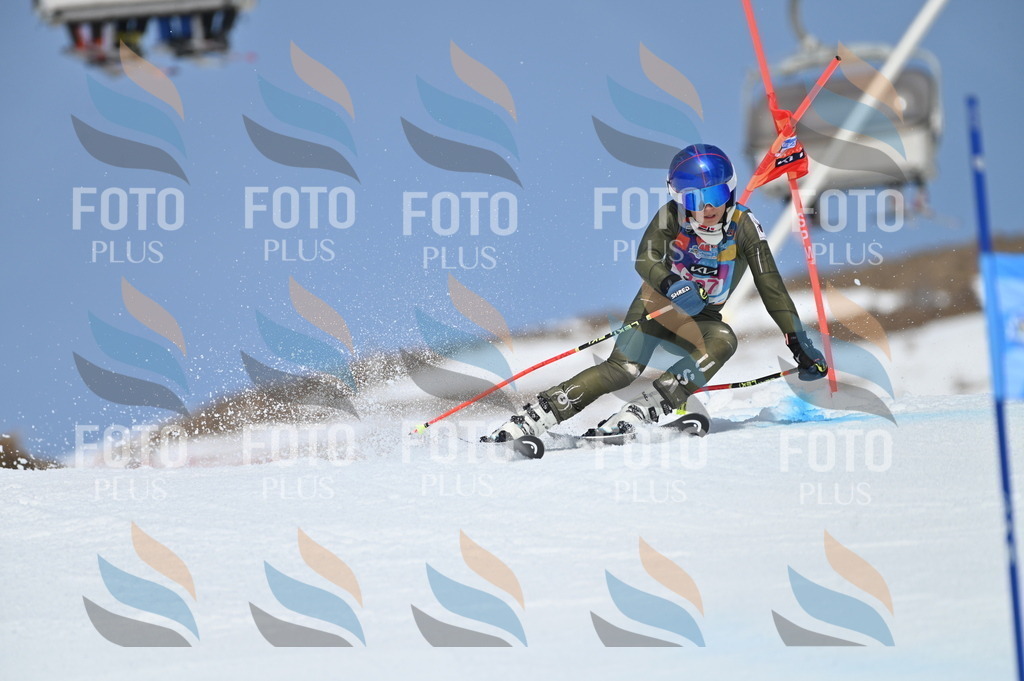 BGV_0914 | holidayphoto