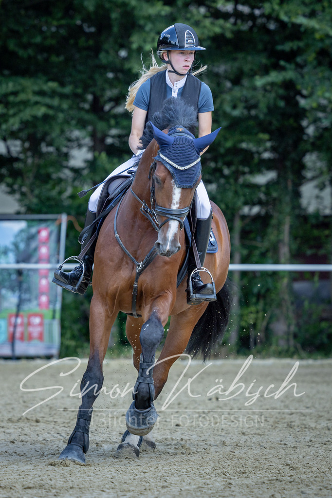 20260704-_3LI0263 | Tierfotografie Pferde, Hunde, Katzen, Haustiere.
Turnierfotografie Reitturniere, Reiten, Springreiten, Dressur in Hanau, dem Main-Kinzig-Kreis und dem Rhein-Main- Gebiet um Frankfurt
