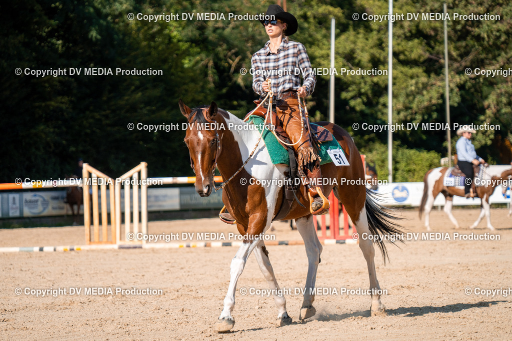 ZH100794 | dv-media-shop - Realisiert mit Pictrs.com