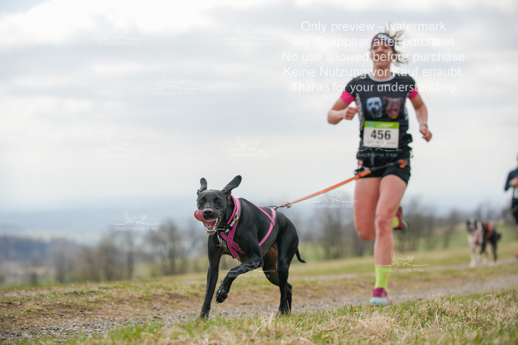 CaniXRunSA-286 | stephaniefillaphotographie - Realisiert mit Pictrs.com