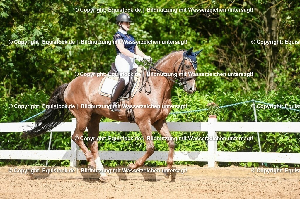 20230716_01_Dressurprüfung Kl.M_0375 | equistock