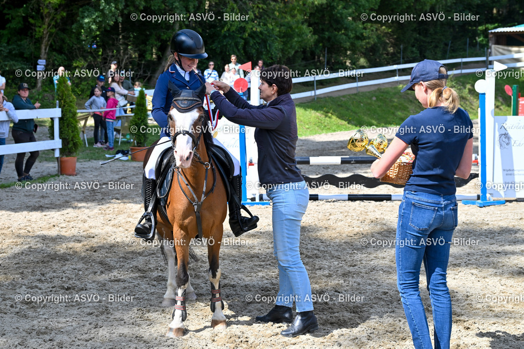 ASVÖ_ Reiten Bezirksmeisterschaft_ 24.08.2025-78 | 24.08.2025, AUT, ASVÖ, Reiten Bezirksmeisterschaft 2025Dressur und Springreiten©fodo.media / Harald Dostal - Realisiert mit Pictrs.com
