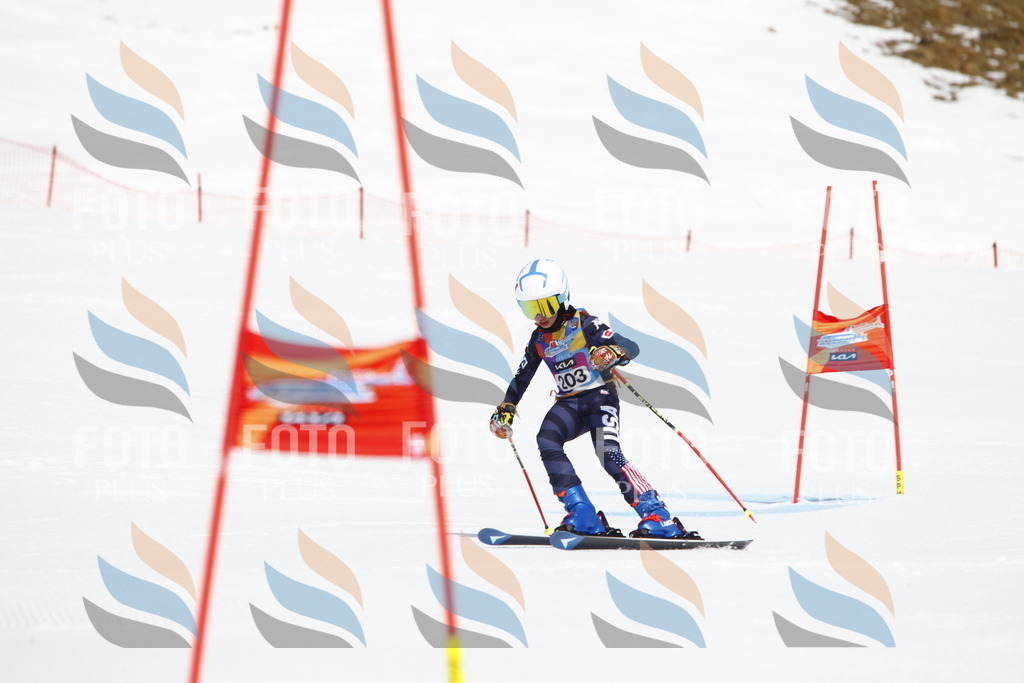 _U3G5267 | holidayphoto