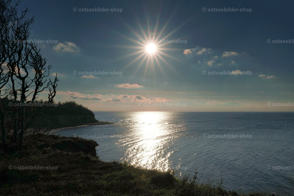 Steilufer mit Küstenwald im Gegenlicht | Eine grelle Nachmittagssonne wirft einen breiten Lichtkegel auf die Ostsee vor der Steilküste, die im Gegenlicht wie ein dunkler Scherenschnitt erscheint.