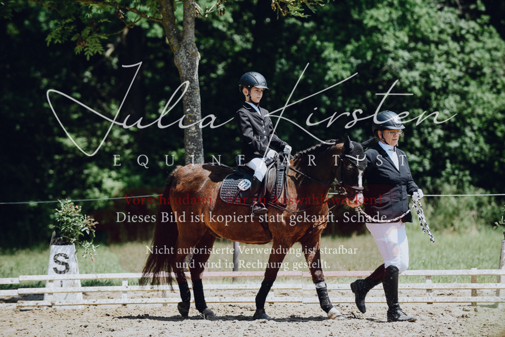 DSC_2134 | Pferde- und Turnierfotografie in Westsachsen. Pferdeportraits, Auftragszeichnungen und intuitive Kunst.