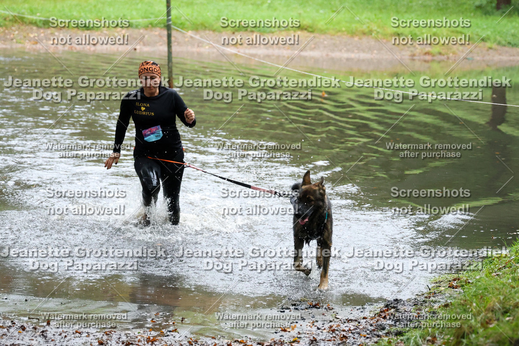 Dog Paparazzi -  SD1026-8329 | Dog Paparazzi Jeanette Grottendiek Fotografie & Videografie - Realisiert mit Pictrs.com