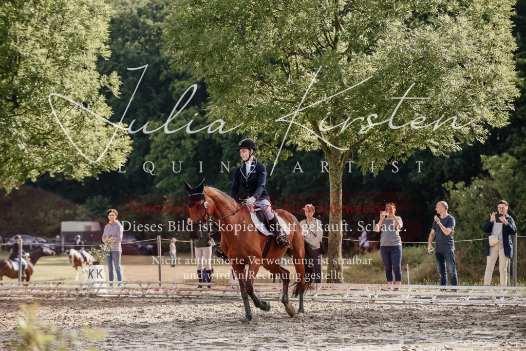 DSC_8493 | Pferde- und Turnierfotografie in Westsachsen. Pferdeportraits, Auftragszeichnungen und intuitive Kunst.