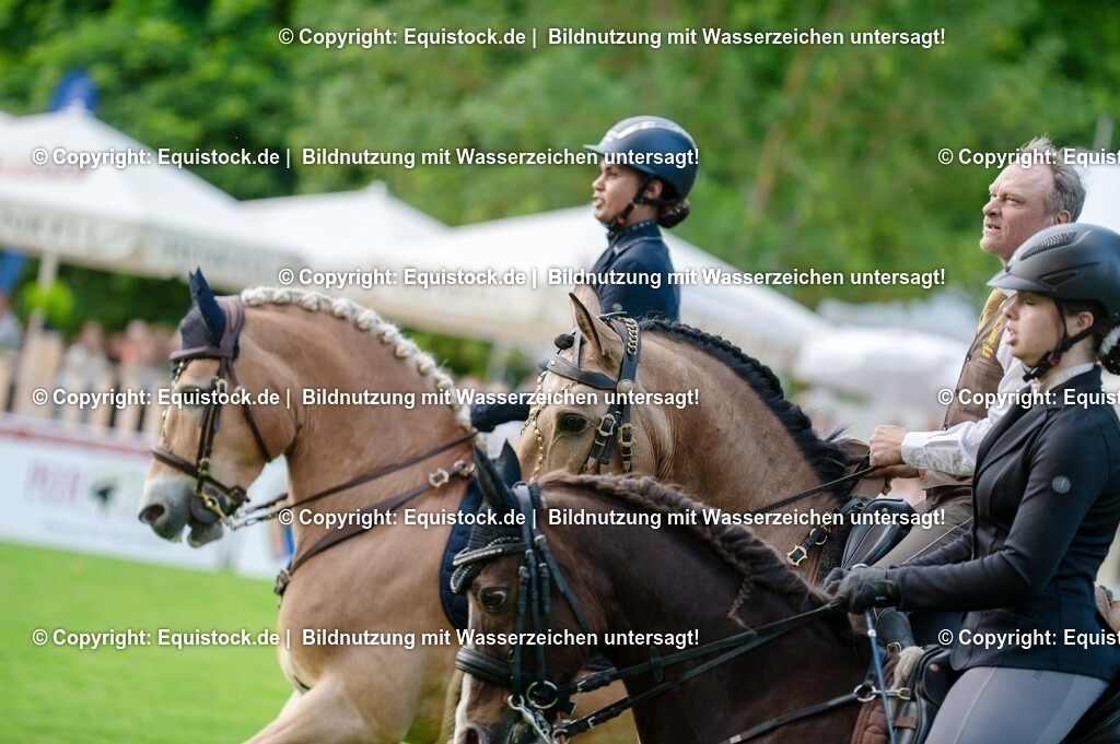 20250606_Lange-Pferdenacht_0271 | Foto: Thomas Hartig