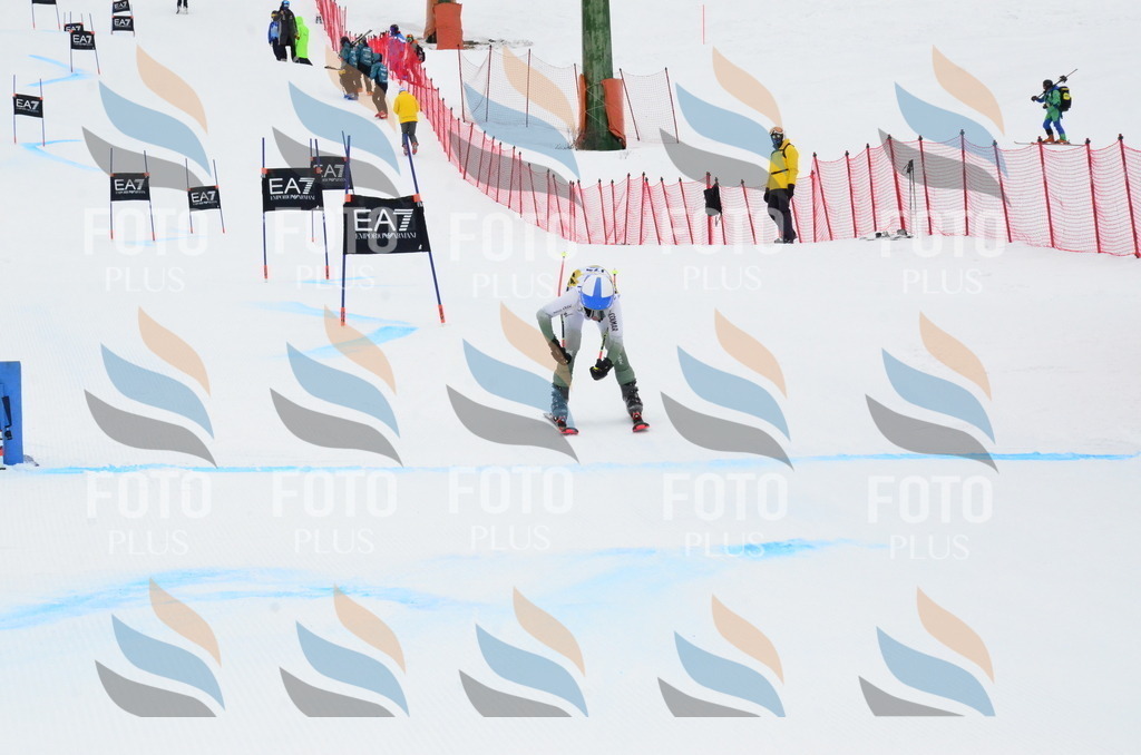 _ELE3910 | holidayphoto