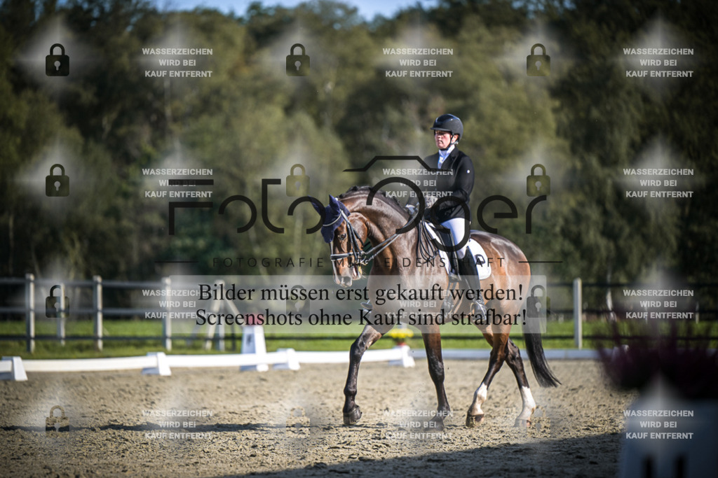DOS_4676 | Entdecke hochwertige Reitturnierfotos von Foto Oger. Professionell, emotional und authentisch – jetzt Lieblingsmomente im Shop bestellen.Deutschlandweite Turnierfotografie. - Realisiert mit Pictrs.com