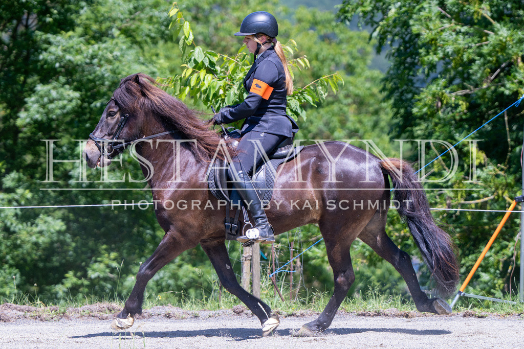 KAI08279 | Ihr sucht einen Fotografen für eure nächste OSI? Ich begleite auch euer Turnier für Islandpferde fotografisch.  - Realisiert mit Pictrs.com