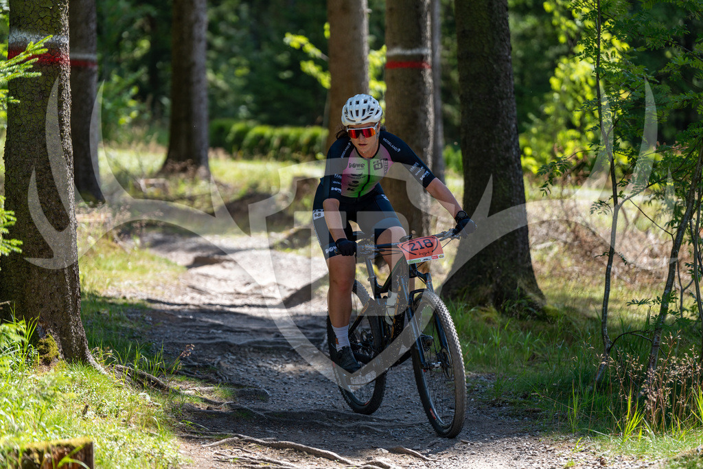 _DSC5298 | Fotogalerie der Treibjagd im Dunkelwald - Dein MTB Etappenrennen im Erzgebirge - Realisiert mit Pictrs.com