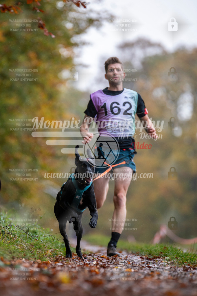 DBT_DAKM_SA_4_11_2023_Canicross-3 | PayLife