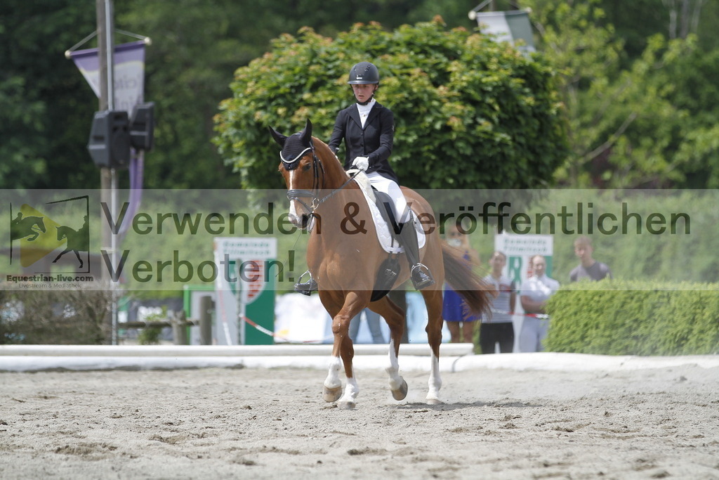 _MG_9204 | equestrian-live-com