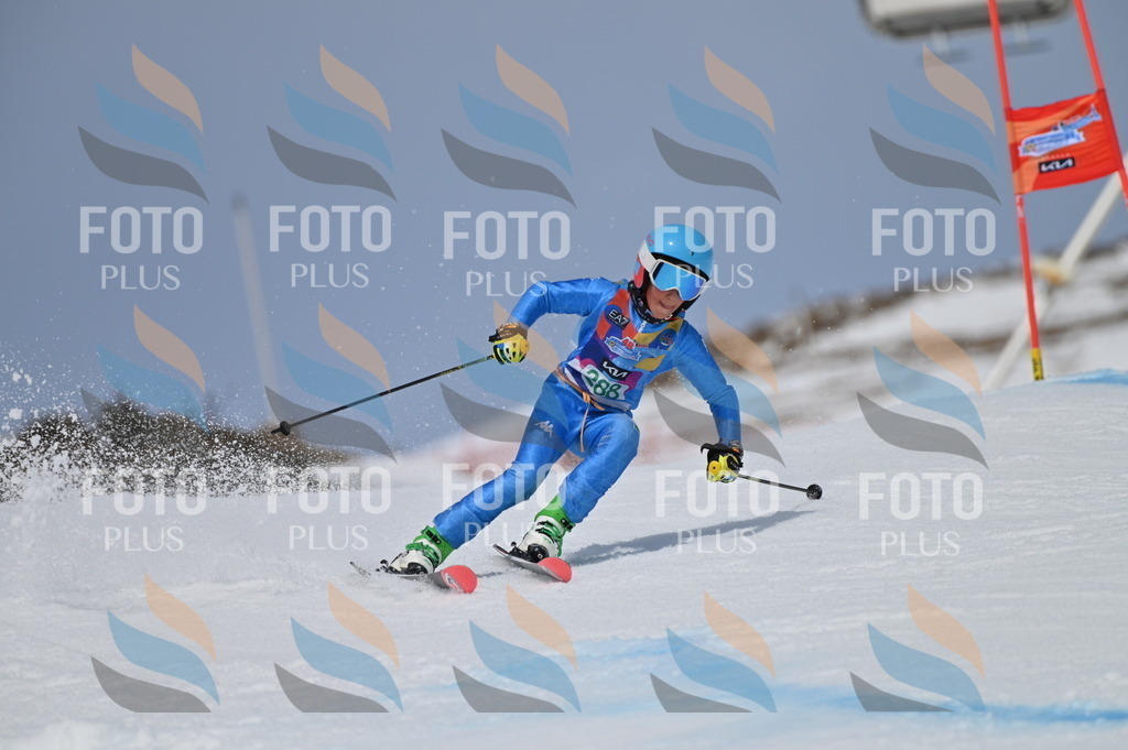 BGV_5745 | holidayphoto