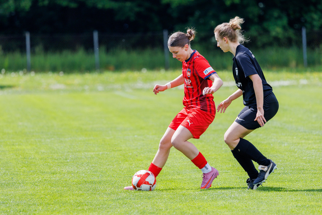20260517-SGMHS-FCH_015 | SGM Hohenmemmingen/Sontheim vs. 1.FC Heidenheim 1846 II, Fußball, Frauen, Bezirksliga Meisterrunde, 2025/2026, 4. Spieltag, 17.05.2026 in Sontheim, Rasenplatz 1(Foto: Michael Bulling) - Realisiert mit Pictrs.com