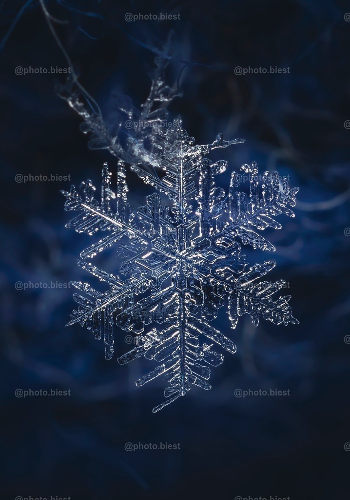 Schneeflocke #14 | Eine (von vielen) filigranen Schneeflocken in meinem ersten Makro-Schneeflocken-Winter. - Realisiert mit Pictrs.com