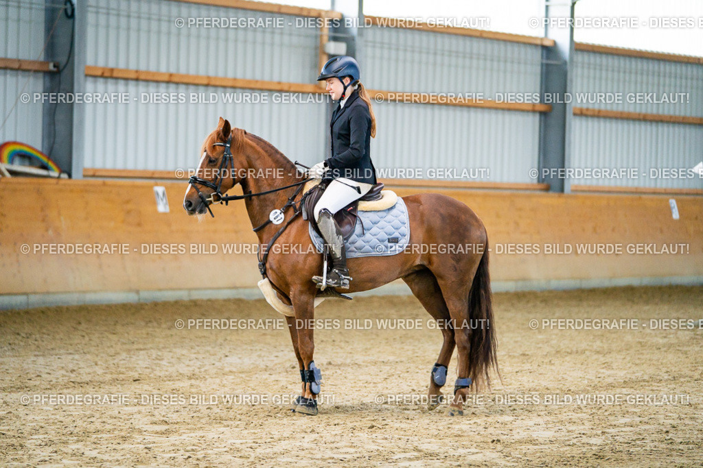 DSC00448 | Pferdegrafie