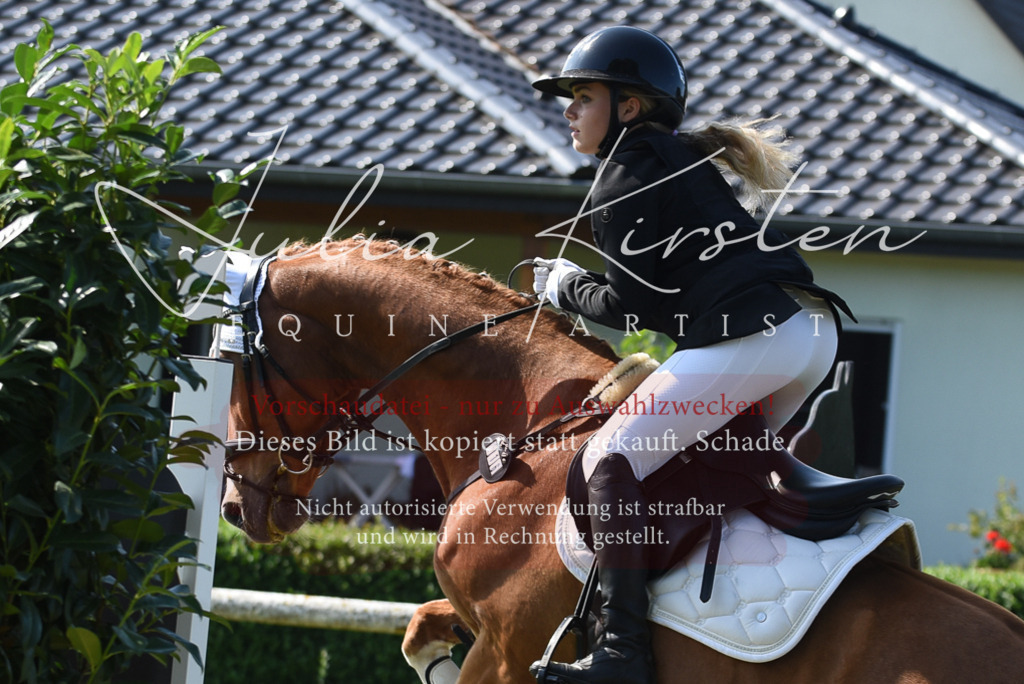 DSC_9121 | Pferde- und Turnierfotografie in Westsachsen. Pferdeportraits, Auftragszeichnungen und intuitive Kunst.