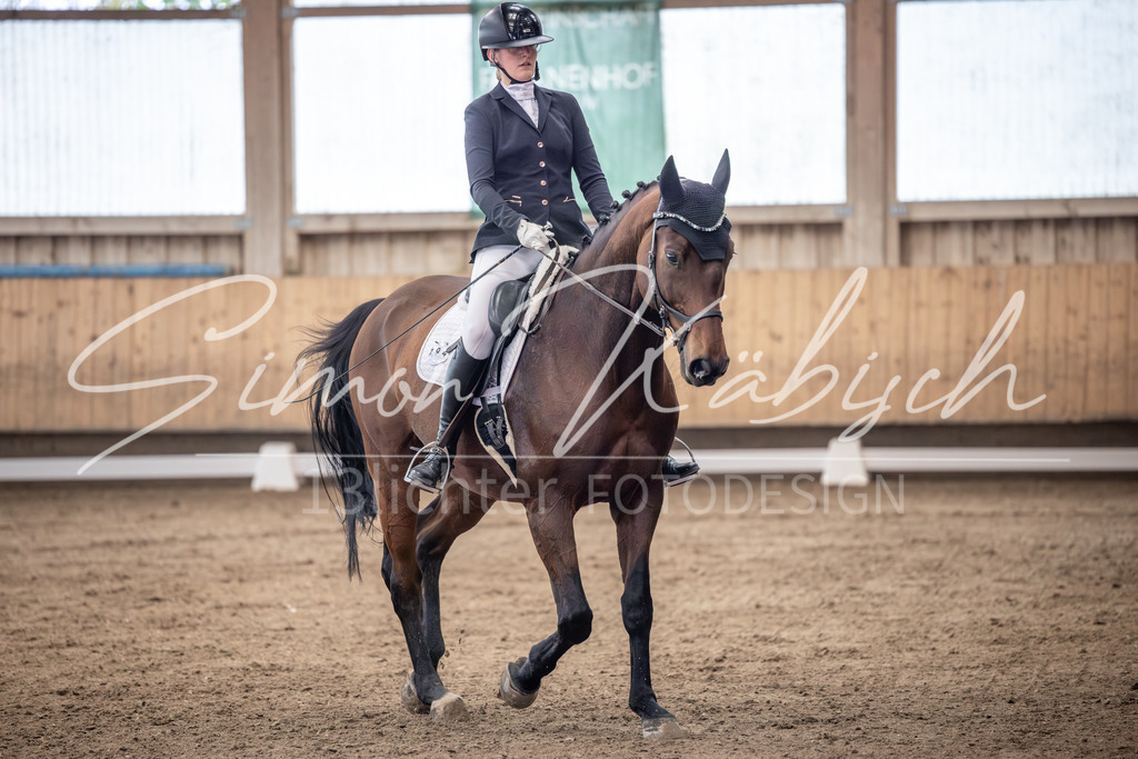 20251011-_3LI0012 | Tierfotografie Pferde, Hunde, Katzen, Haustiere.
Turnierfotografie Reitturniere, Reiten, Springreiten, Dressur in Hanau, dem Main-Kinzig-Kreis und dem Rhein-Main- Gebiet um Frankfurt