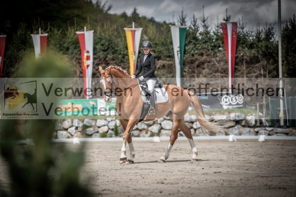 DSC_2767 | equestrian-live-com