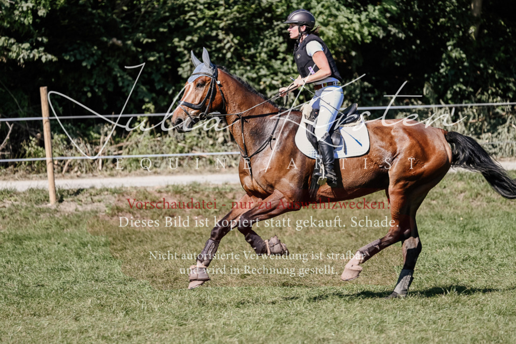 DSC_2713 | Pferde- und Turnierfotografie in Westsachsen. Pferdeportraits, Auftragszeichnungen und intuitive Kunst.