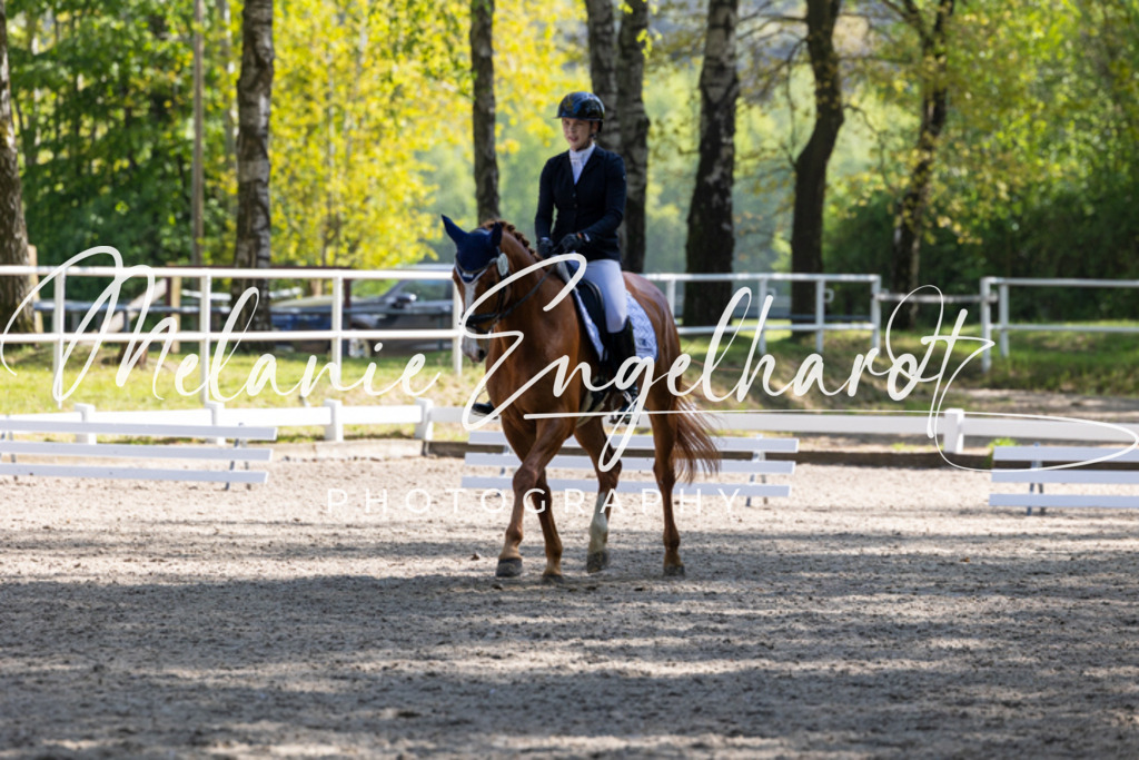 7I8A2339 | melanie-engelhardt-photography - Realisiert mit Pictrs.com