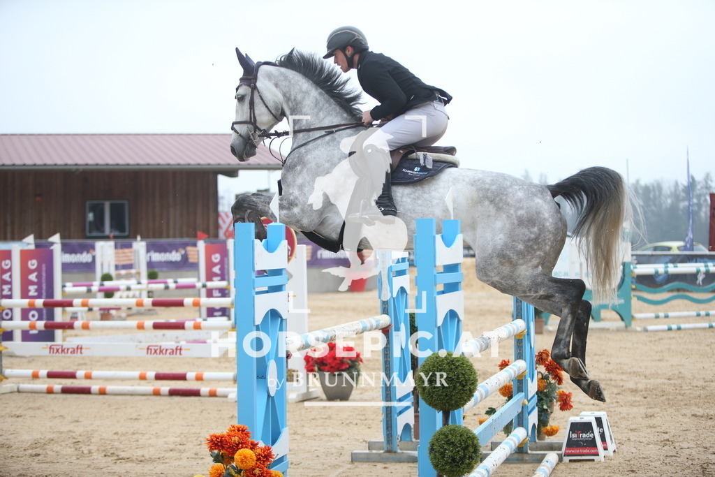 PP013486 | Willkommen bei Brunnmayr - Design & Fotografie – Ihrem Spezialisten für Reitturniere und Pferdeveranstaltungen in Oberösterreich, Salzburg und Bayern! Seit über 17 Jahren sind wir leidenschaftlich dabei.