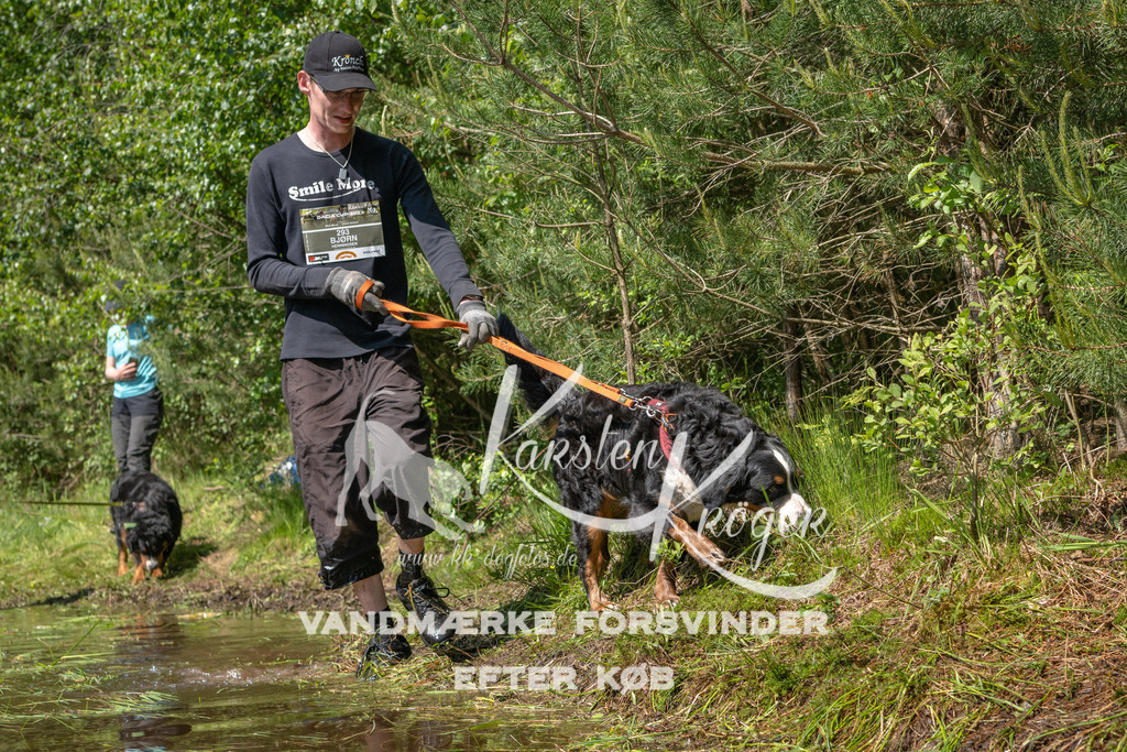 1525DKK993264 | kk-dogfotos